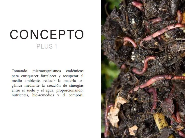 Bacteria Plus 5